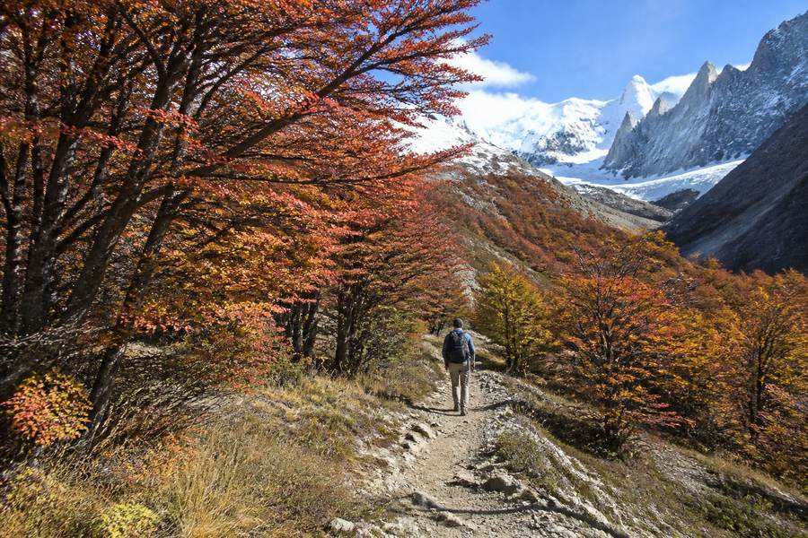 Best Time to Visit Argentina