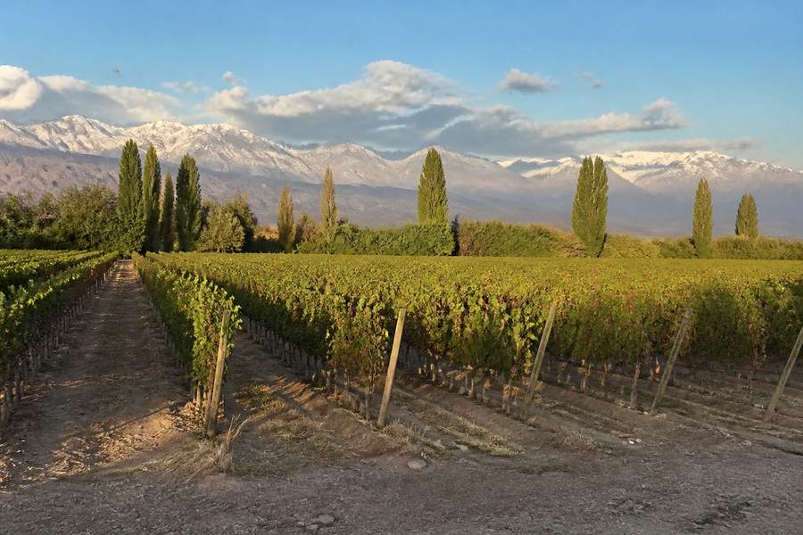 Mendoza