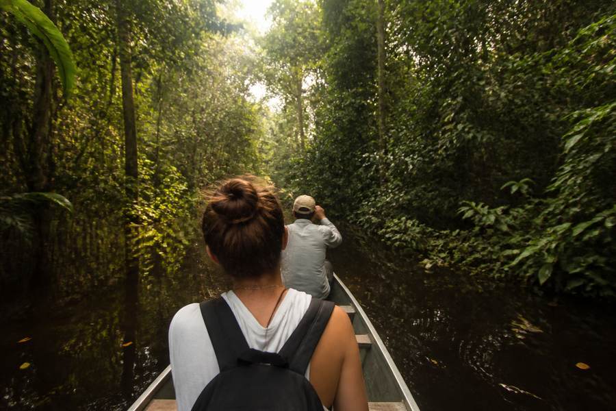 Amazon Rainforest