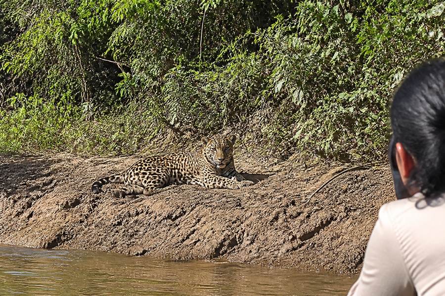 The Pantanal