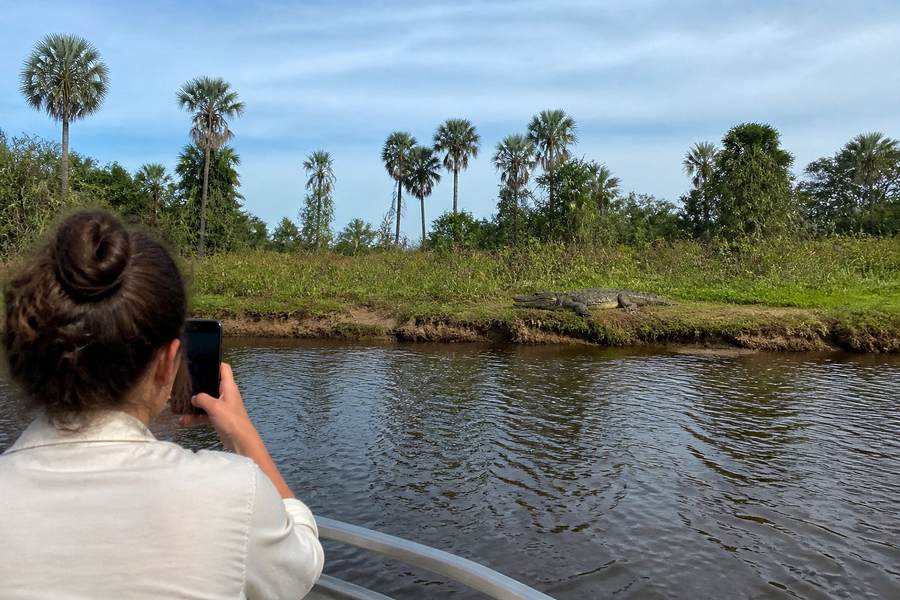 The Pantanal