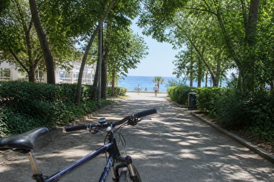 Varna