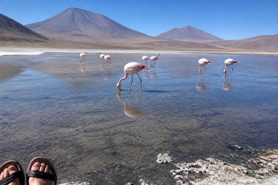 Atacama Salt Flats, Geysers and Stargazing