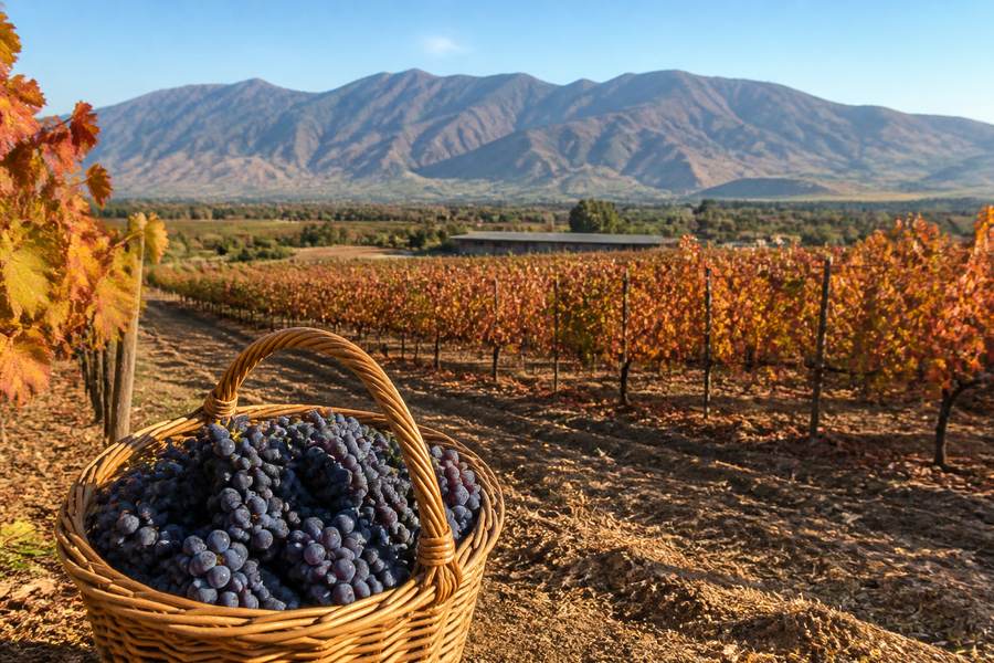 Best Time to Visit Chile