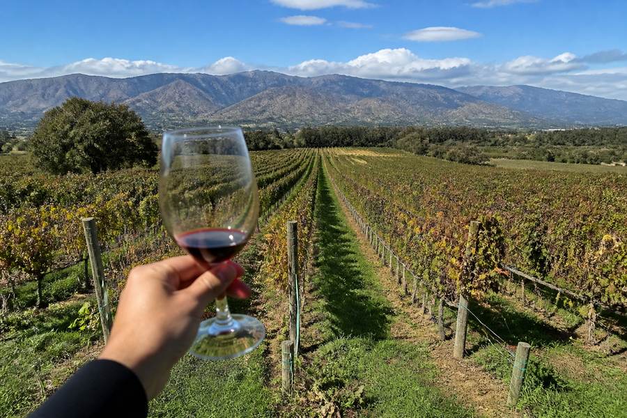 Colchagua Valley Wine Tasting