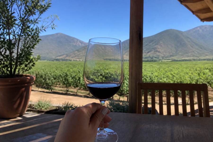 Colchagua Valley Wine Tasting