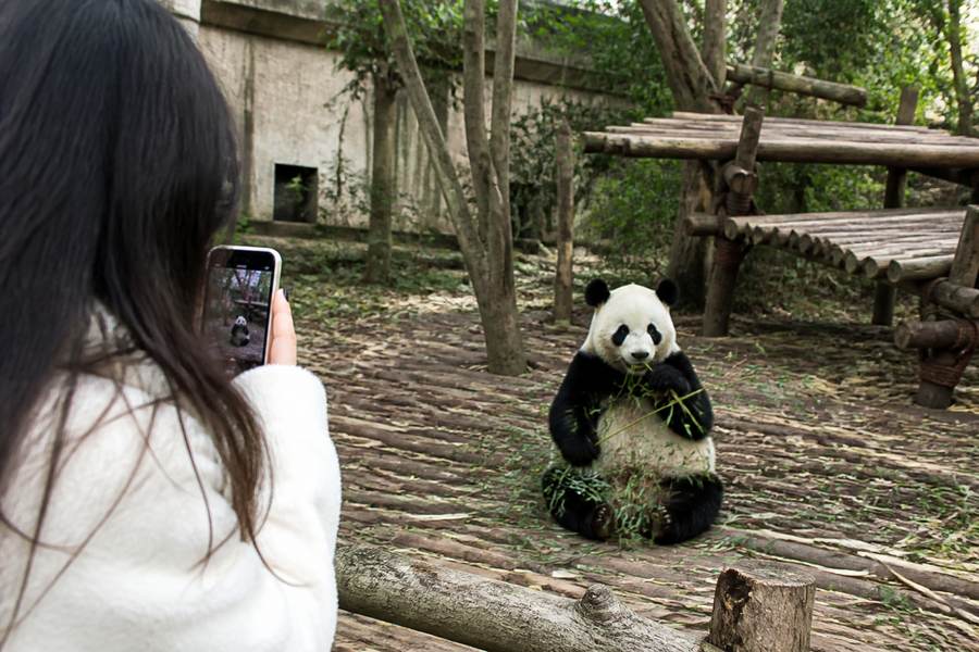 Chengdu