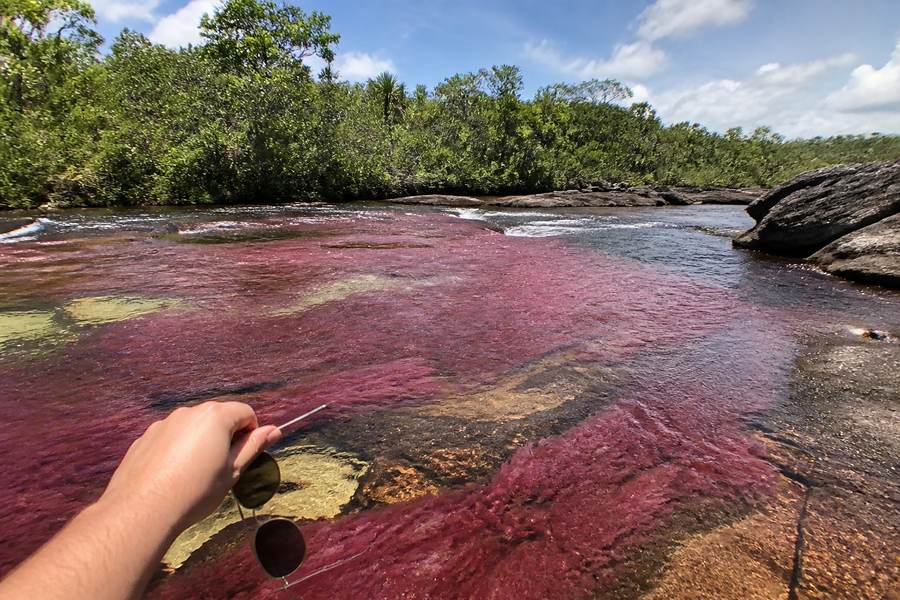 Caño Cristales