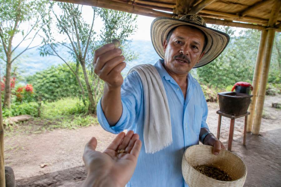 Colombian Coffee: Regions, Farms & Where to Drink It