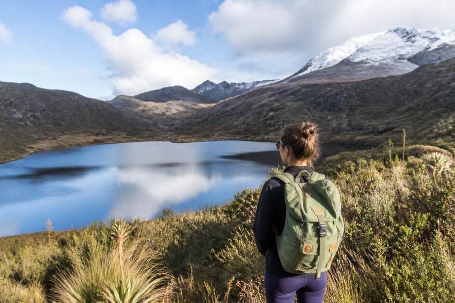 Los Nevados National Park