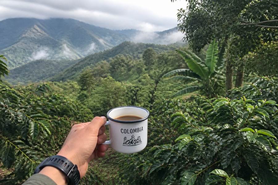 Salento and the Coffee Triangle