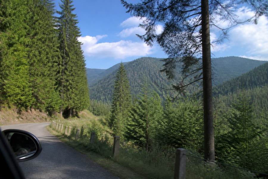 Black Forest