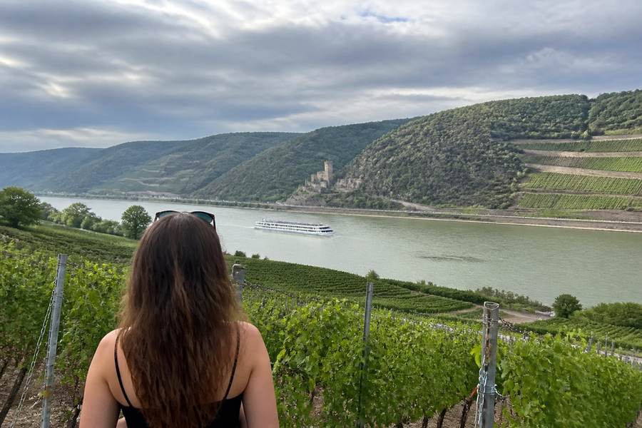 Rhine Valley