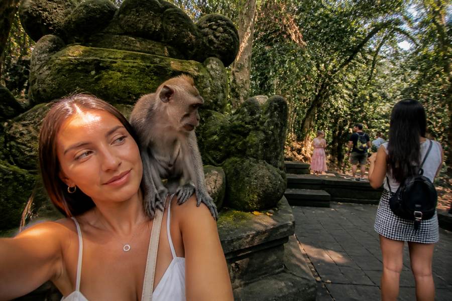 Ubud Monkey Forest