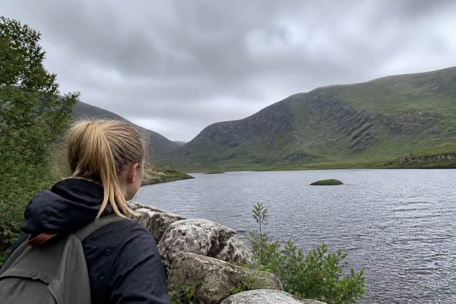 Killarney National Park