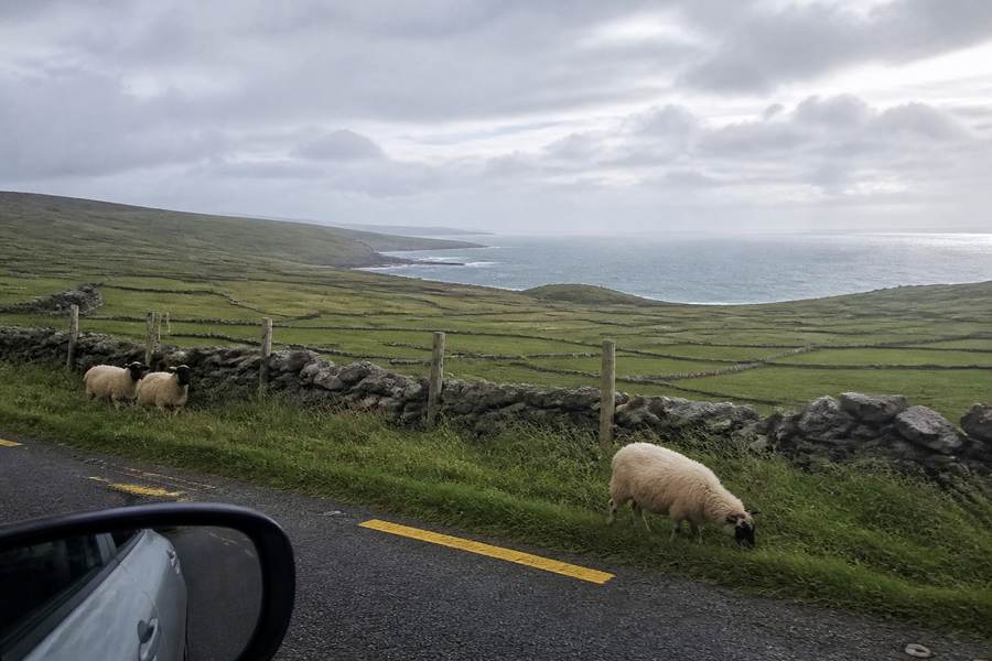 The Wild Atlantic Way