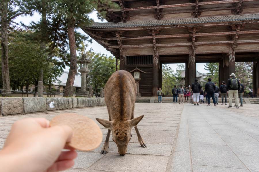 Nara