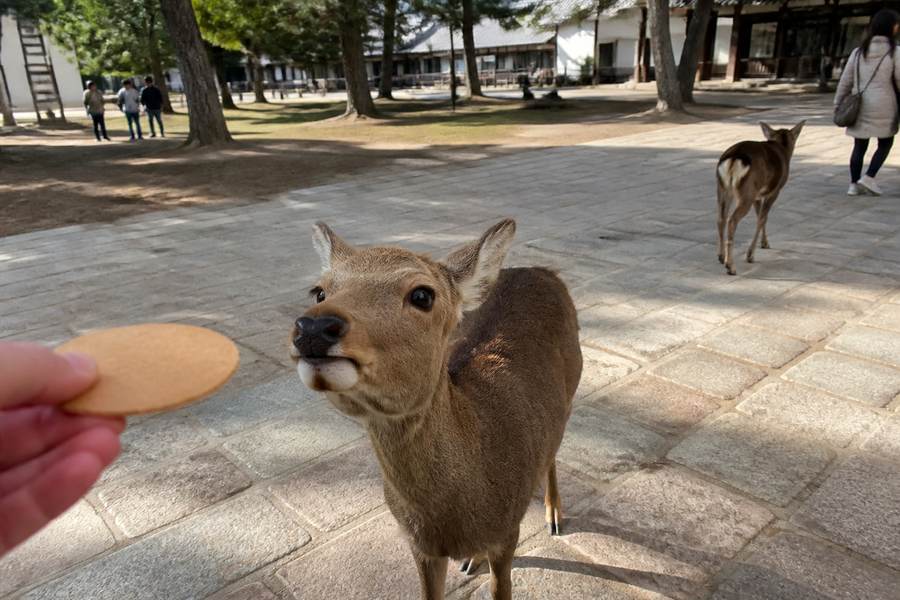 Nara