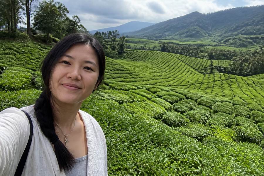 Cameron Highlands