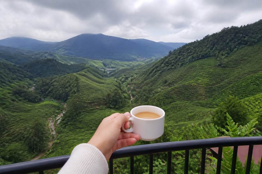 Cameron Highlands