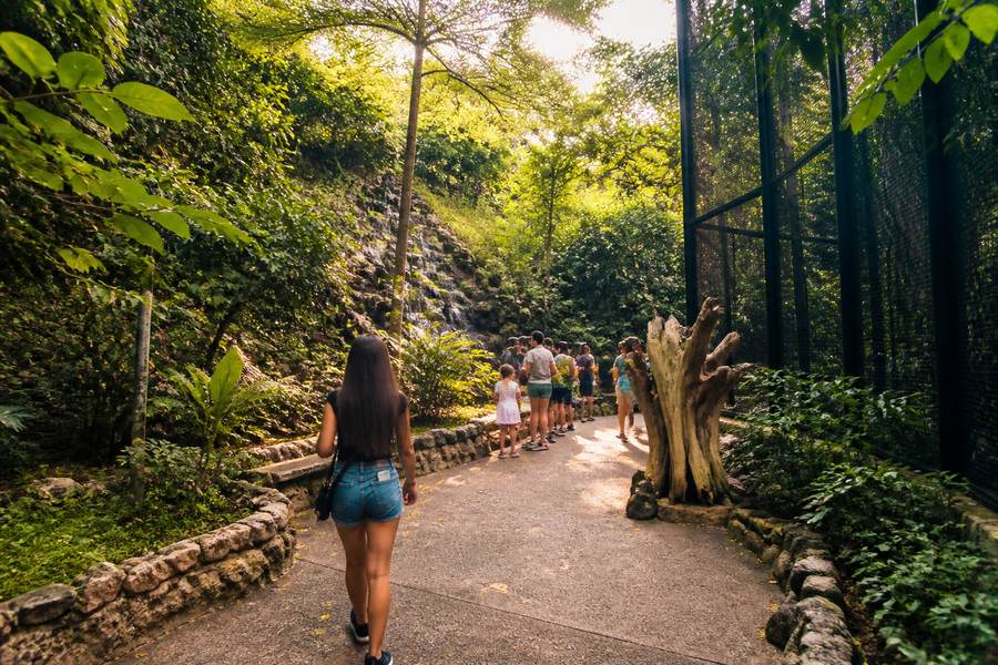 Kuala Lumpur Bird Park