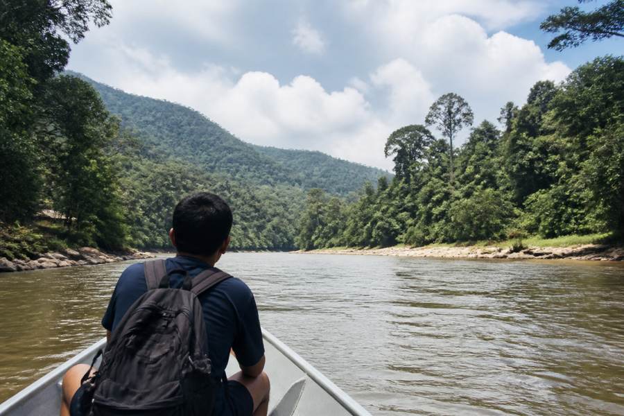 Taman Negara