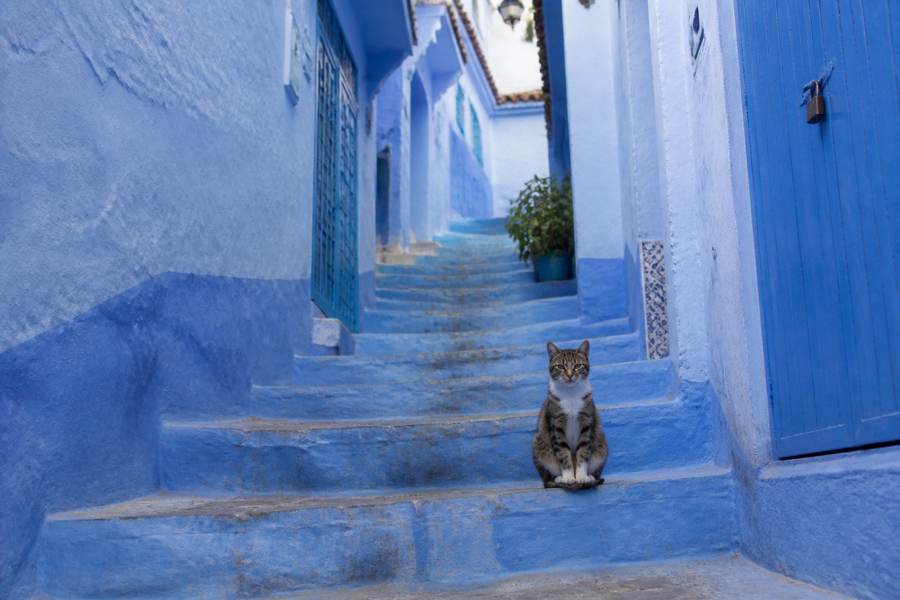 Morocco