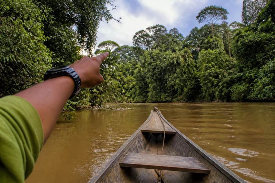 Amazon Eco-Lodges: Tambopata vs. Iquitos