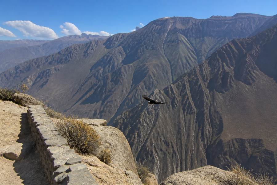 Colca Canyon or Rainbow Mountain: How to Choose