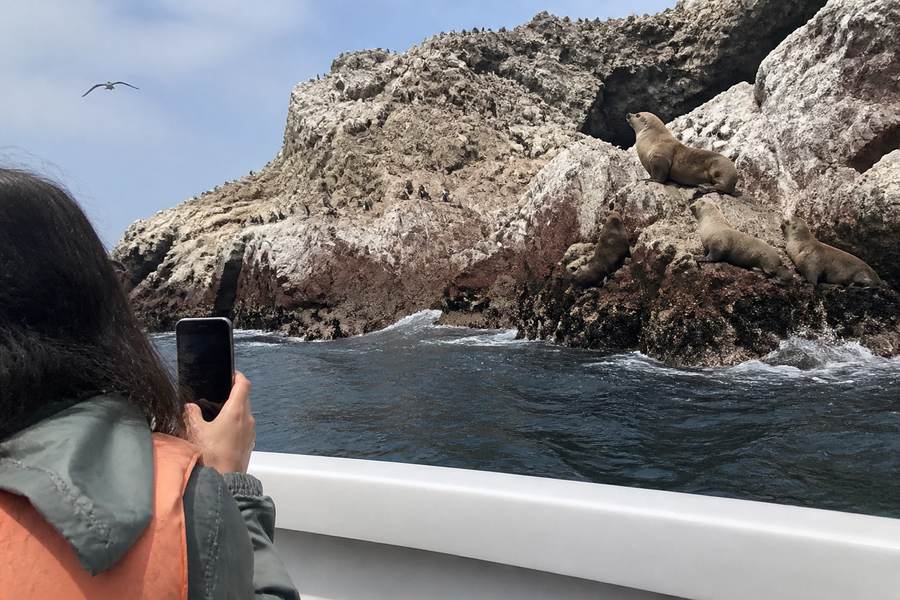 Paracas and the Ballestas Islands