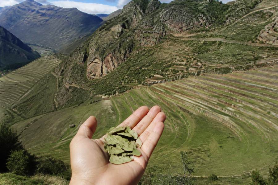 The Sacred Valley