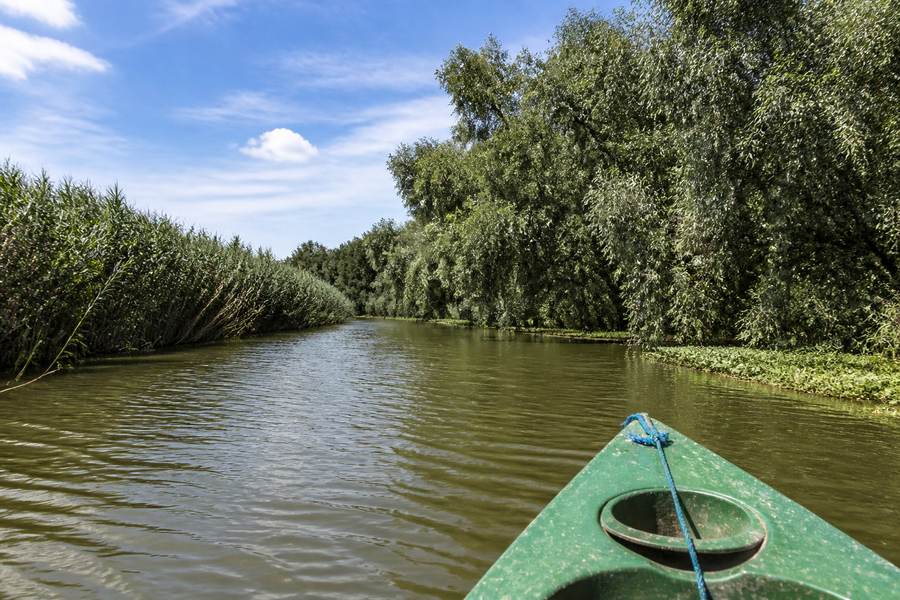 The Danube Delta