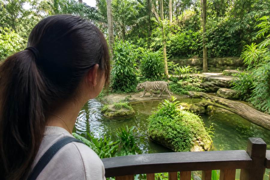 Mandai Wildlife Reserve