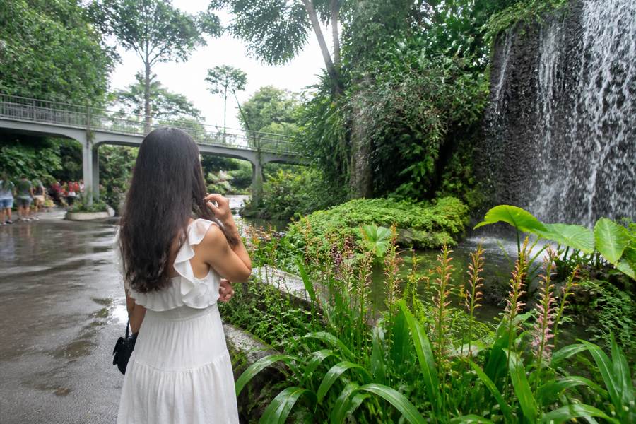 Singapore Botanic Gardens