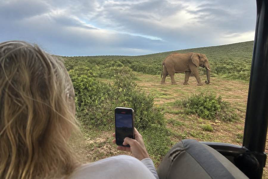 Addo Elephant National Park
