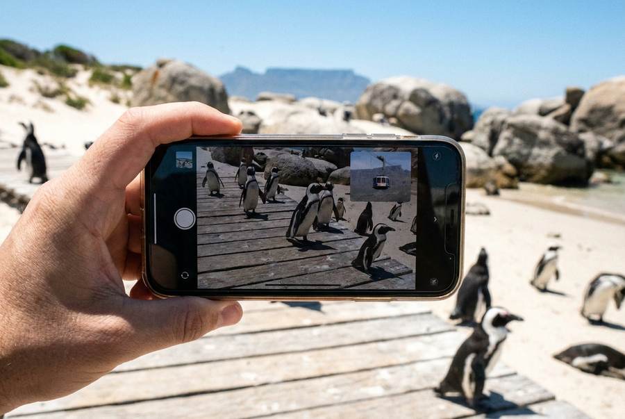 Cape Town's Best Attractions