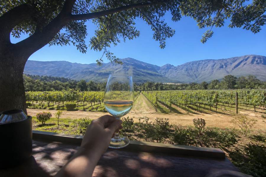 Cape Winelands: Stellenbosch & Franschhoek