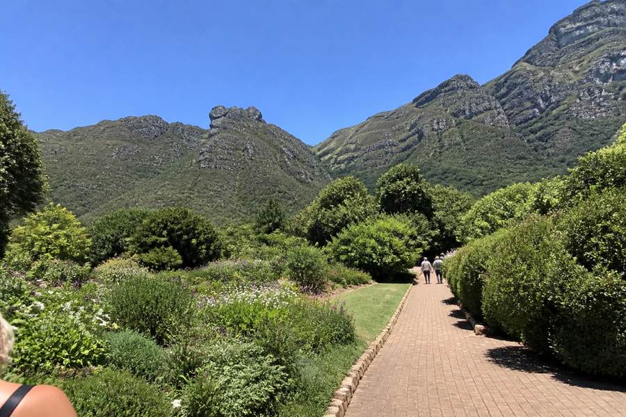 Kirstenbosch National Botanical Garden