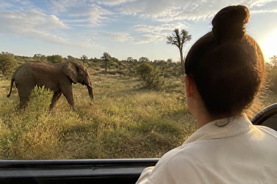Kruger National Park