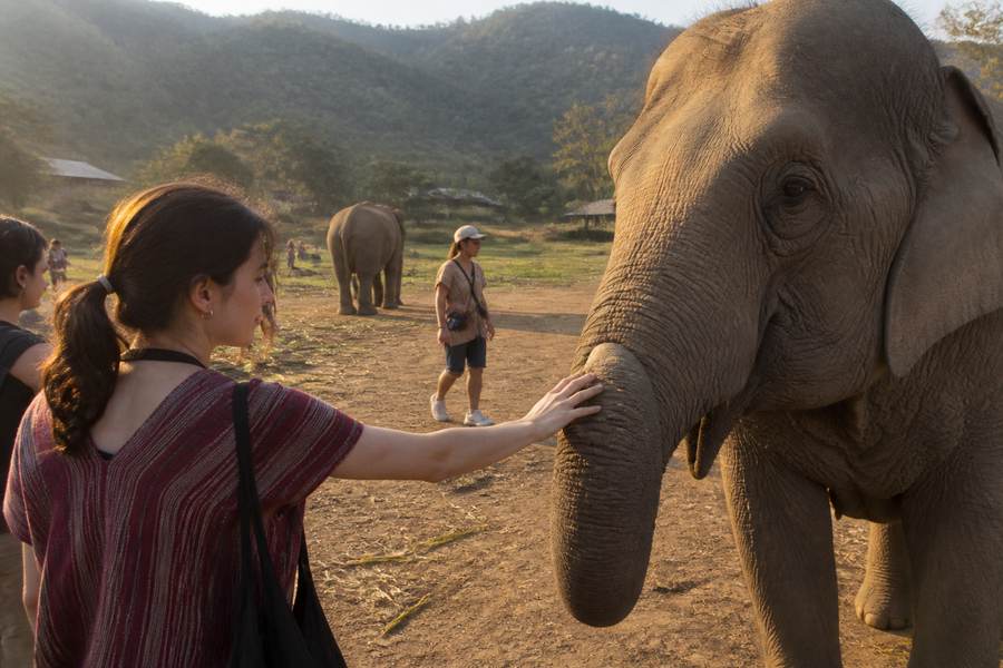 Elephant Nature Park