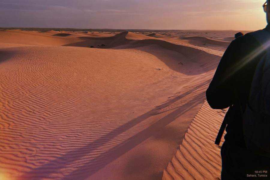 Best Time to Visit Tunisia: Coast vs. Sahara