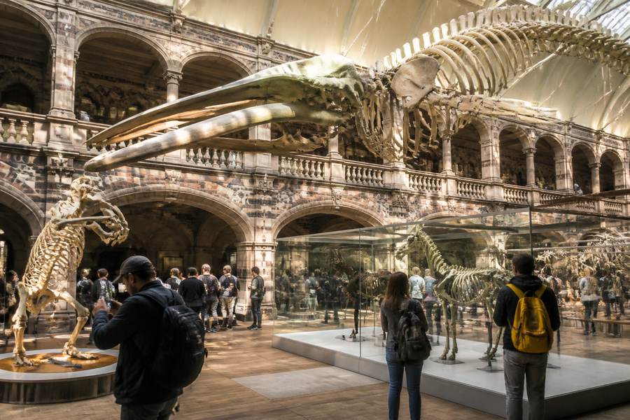 The Edinburgh Museum