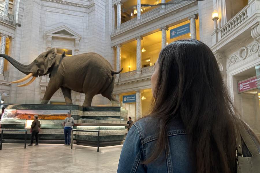 Washington DC