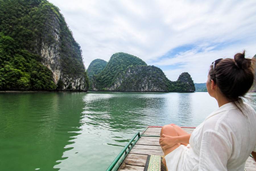 Pick ONE Region: North or South Vietnam?
