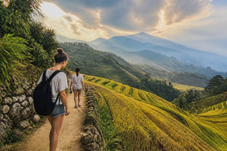 Sapa Rice Terraces