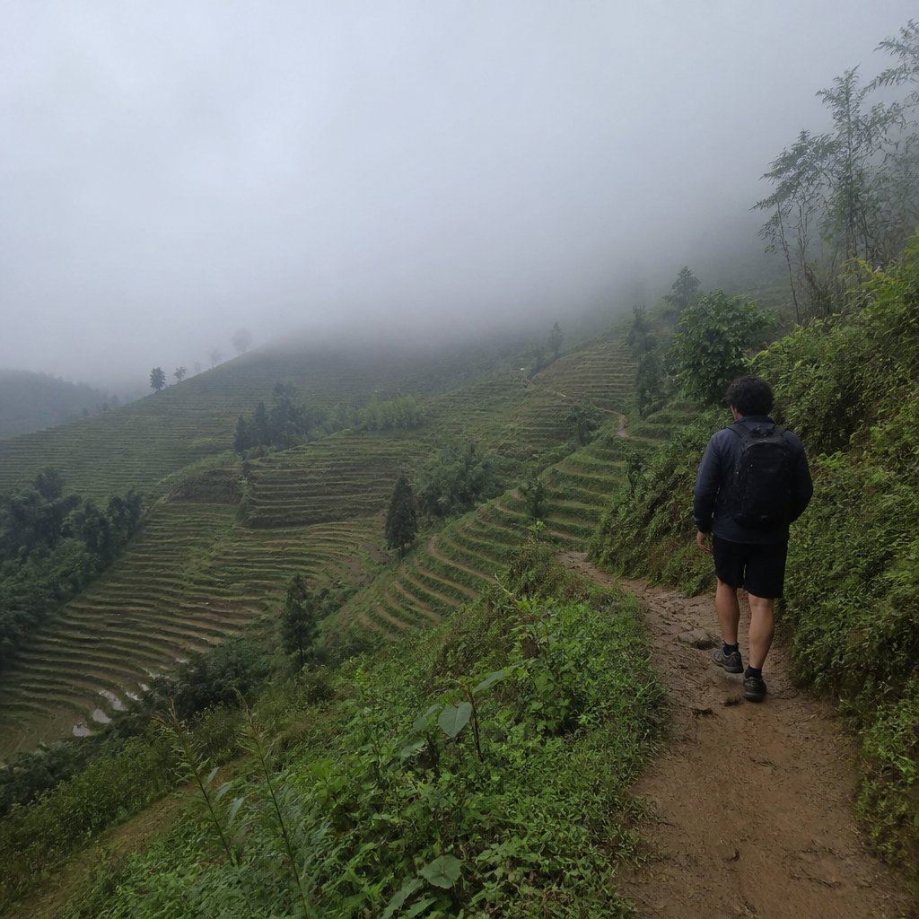 Sapa rice terraces